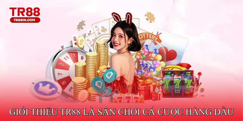 Giới thiệu TR88 là sân chơi cá cược hàng đầu